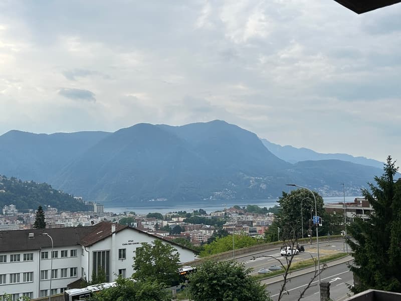 In Lugano, we rent 3.5-room apartments (7)