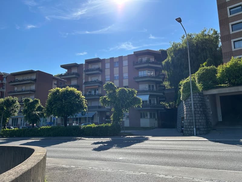 In Lugano, we rent 3.5-room apartments (1)