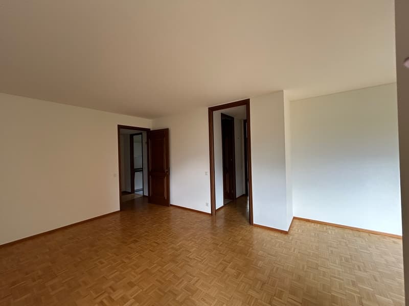 A Massagno, in Via Tesserete affittiamo appartamenti di 3.5 locali (2)