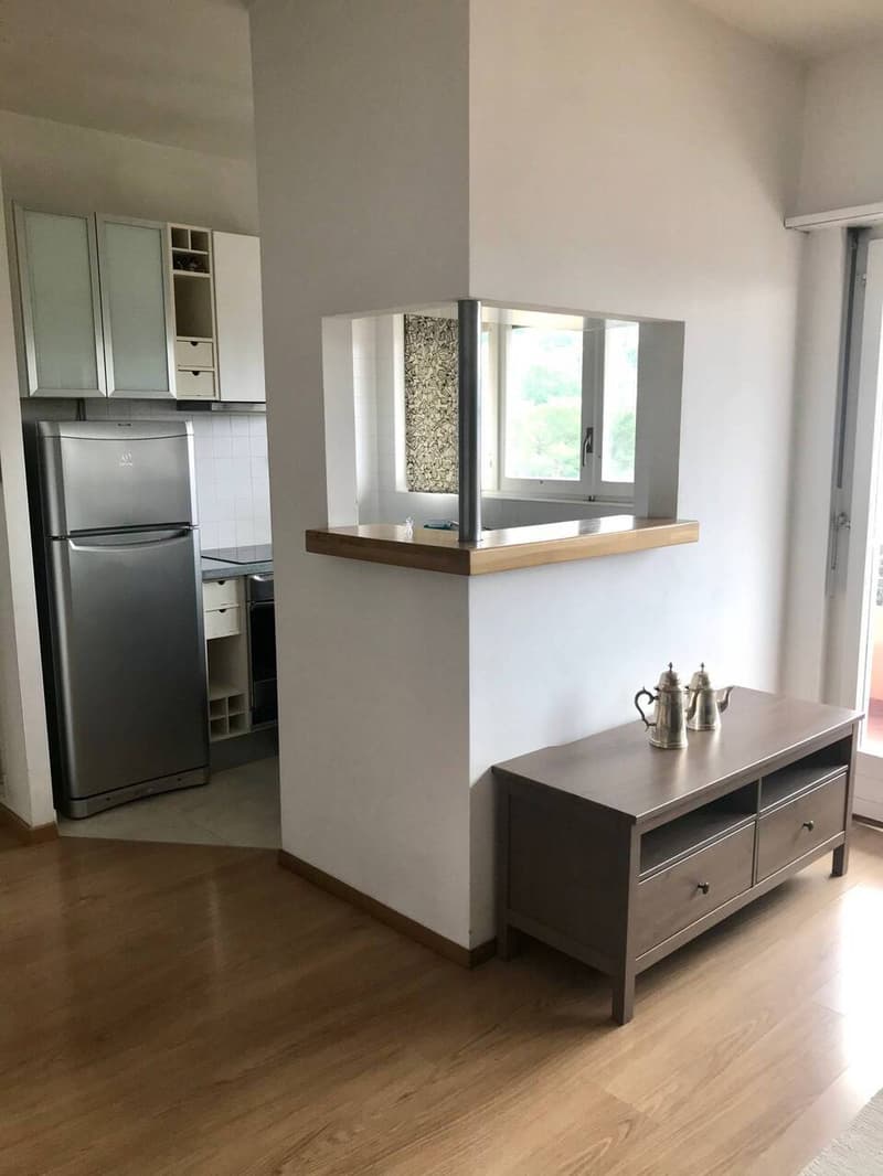 VIGANELLO APPARTAMENTO 2.5 LOCALI IN VENDITA (3)