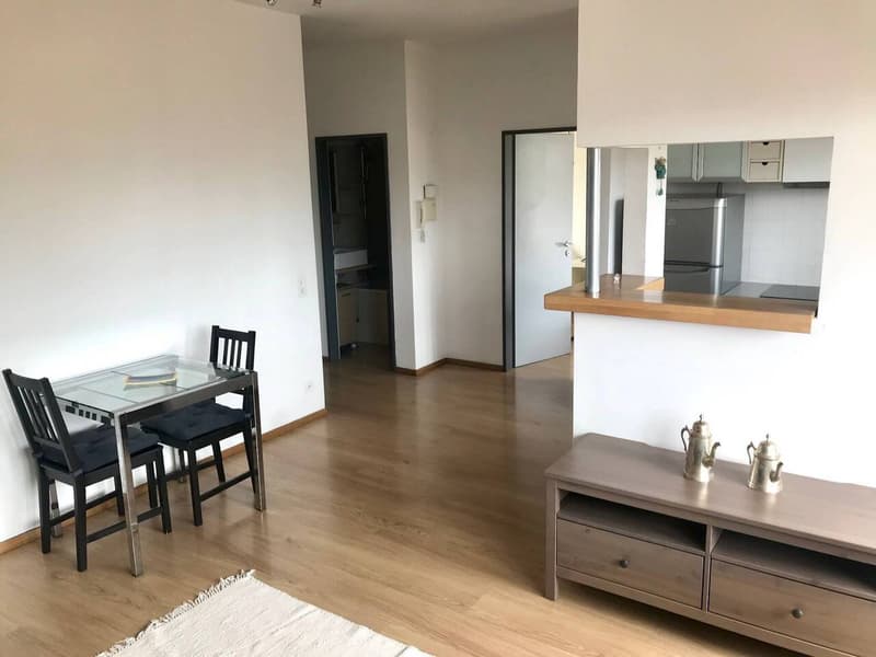 VIGANELLO APPARTAMENTO 2.5 LOCALI IN VENDITA (2)