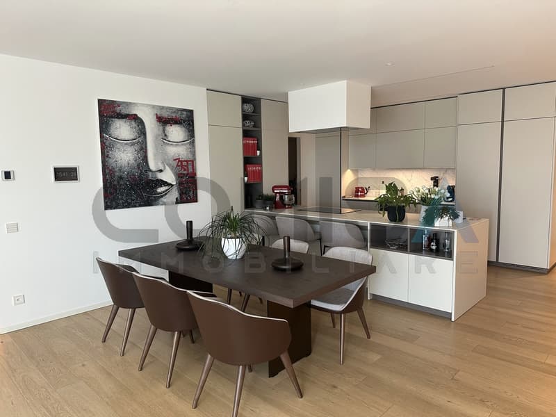 cucina moderna arredata / modern eingerichtete Küche / furnished modern kitchen