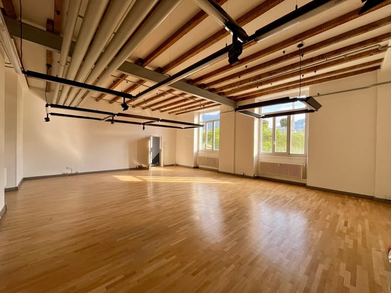 Modern office in strategic location in Balerna (4)