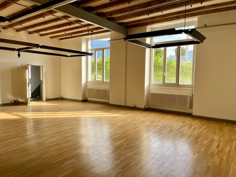 Modern office in strategic location in Balerna (3)