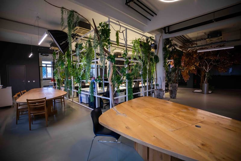open space office with two tables, office chairs, green plants, lighting, and metal structures