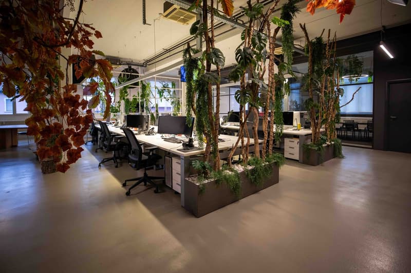 Modern office with large indoor plants, computer monitors, desks, chairs, bright windows, grey flooring