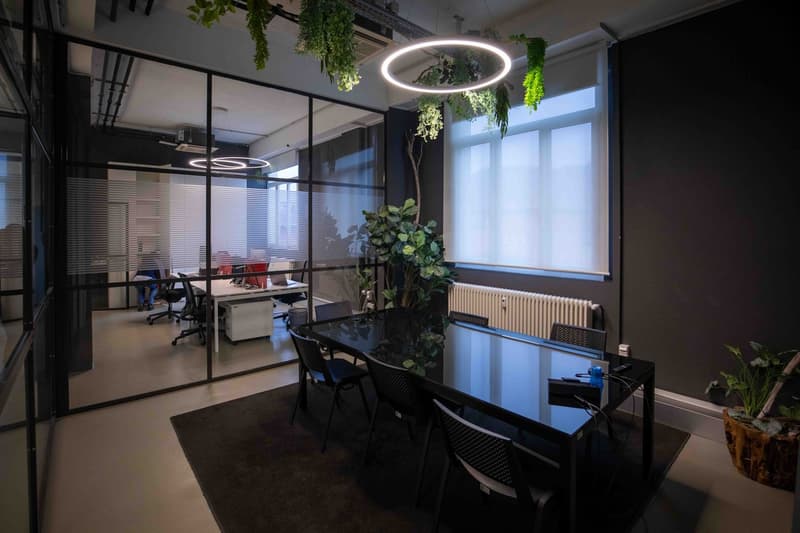 Office meeting room with a large glass wall, hanging plants, and a large conference table.