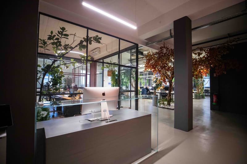 open space with desks, glass walls, indoor plants, central walkway, glass partition