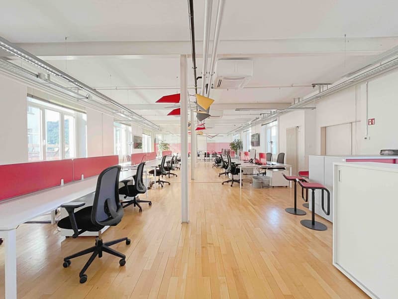 Modernes Büro zur Miete in Balerna – 196 m² (2)