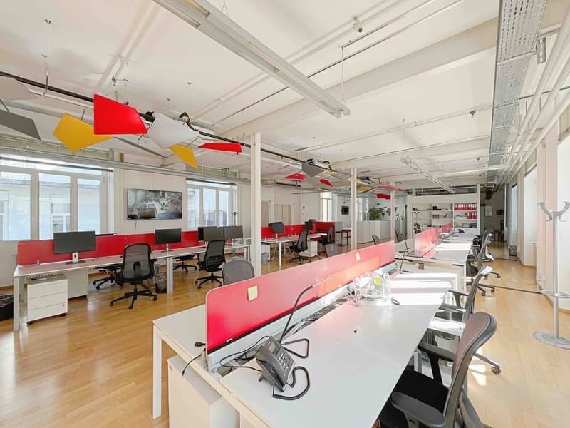 Modernes Büro zur Miete in Balerna – 196 m² (4)