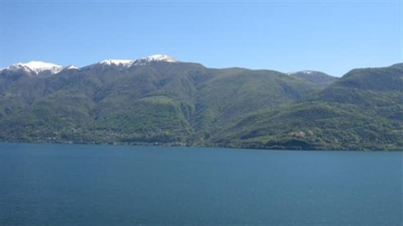 Vista
