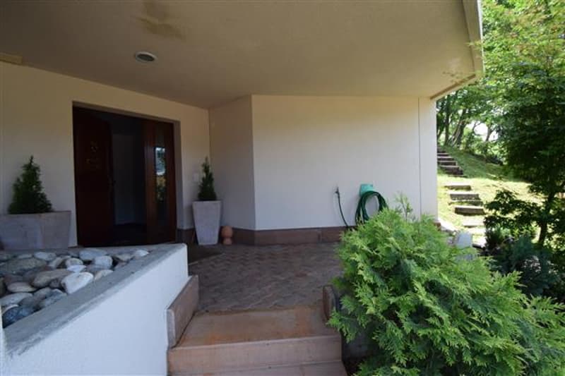 Ingresso