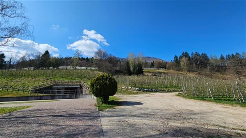Vista