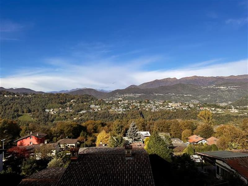 Vista