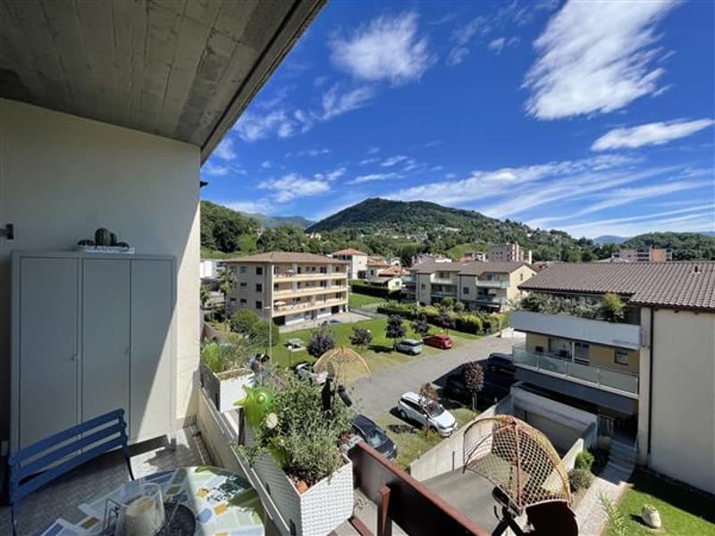 Vista