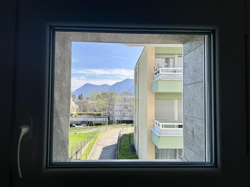 Vista