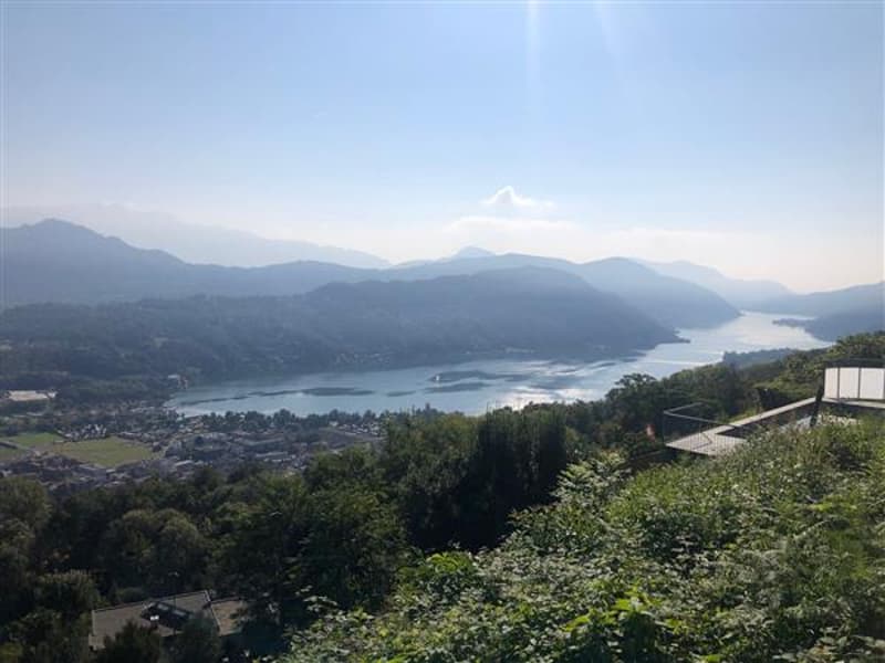 Vista