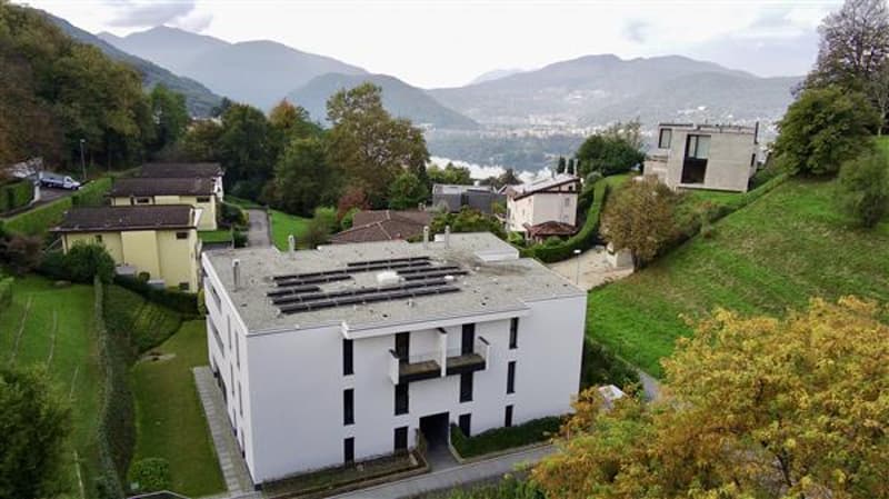 Vista