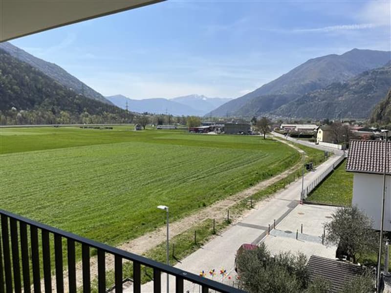 Vista