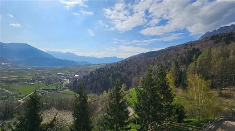 Vista