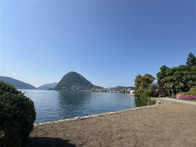 Vista