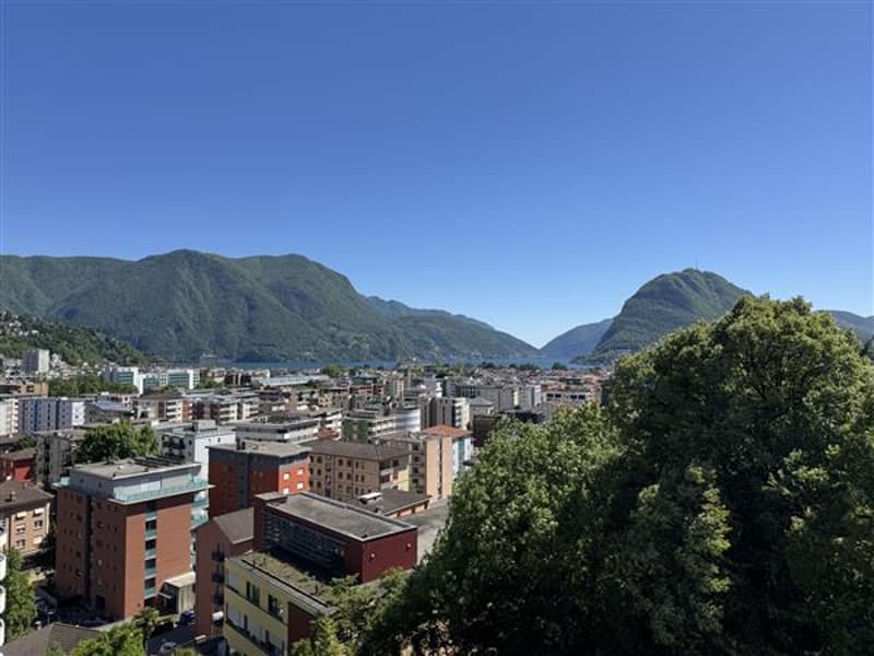 Vista