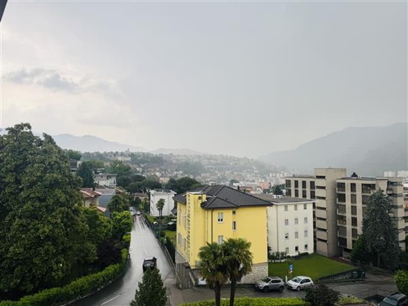 Vista