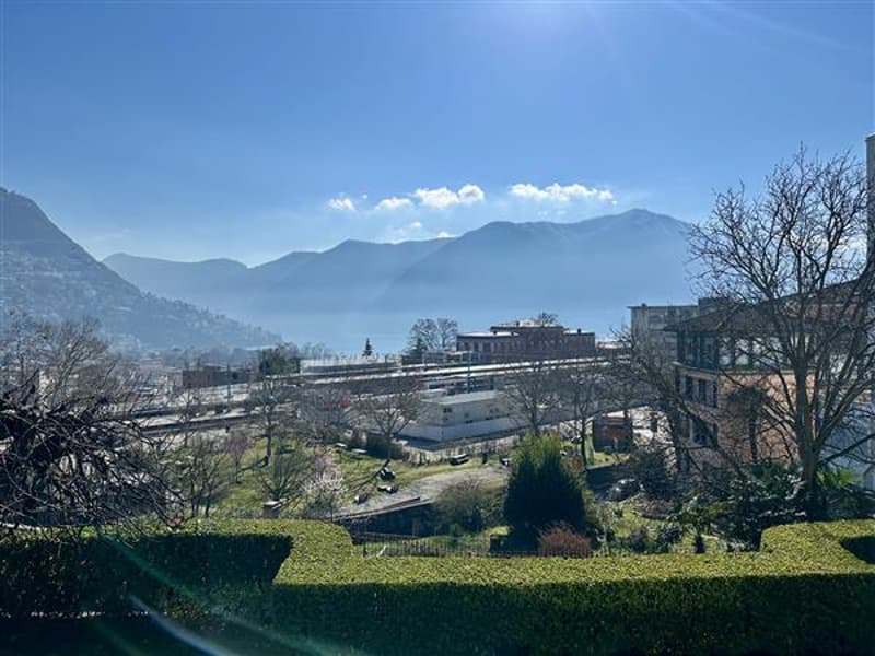 Vista