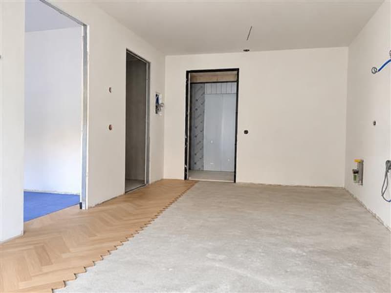 Ingresso