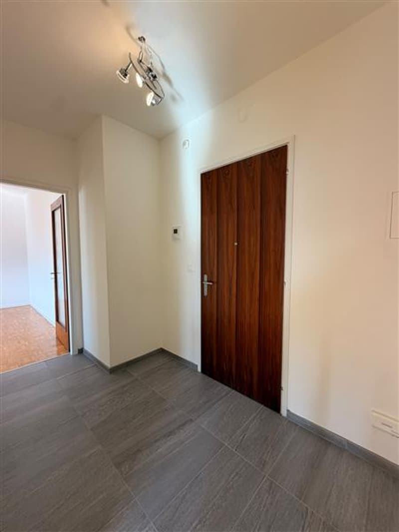 Ingresso