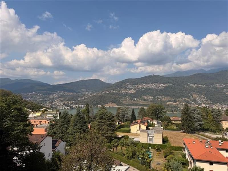Vista