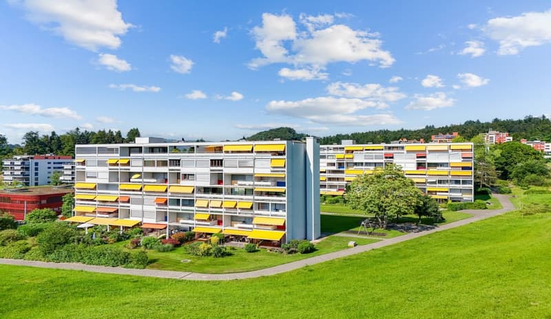 Auf Erfolgsbasis: Wir übernehmen 100 % der Vorleistung – für Sie entstehen weder Aufwendungen noch ein Kostenrisiko.