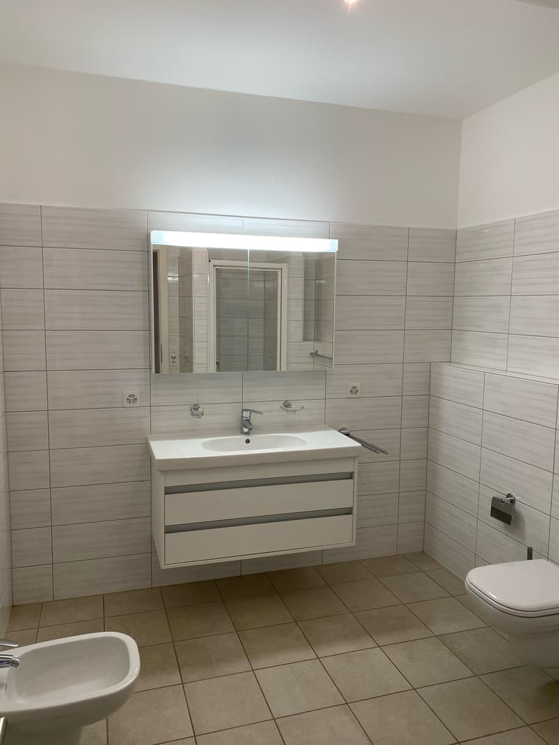 2.5-Room Apartment - Lugano (2)