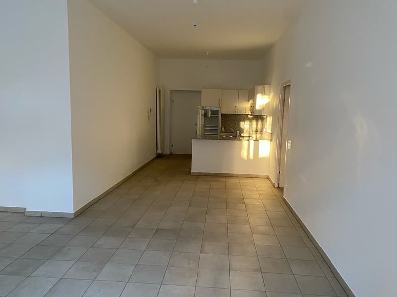 2.5-Room Apartment - Lugano (3)