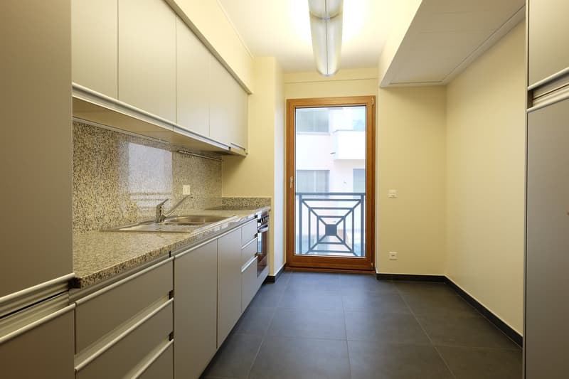 Appartement à louer de haut standing, promenade du lac de Lugano au 3ème étage (20)