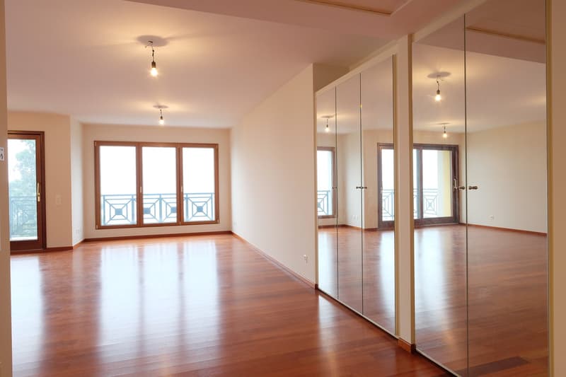 Appartement à louer de haut standing, promenade du lac de Lugano au 3ème étage (15)