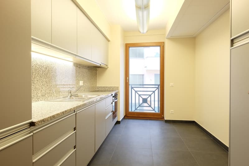Appartement à louer de haut standing, promenade du lac de Lugano au 3ème étage (22)