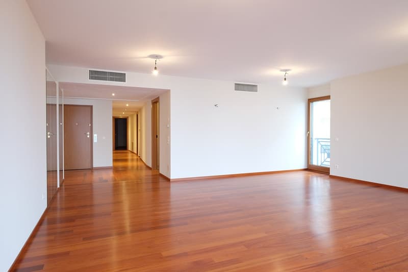 Appartement à louer de haut standing, promenade du lac de Lugano au 3ème étage (17)