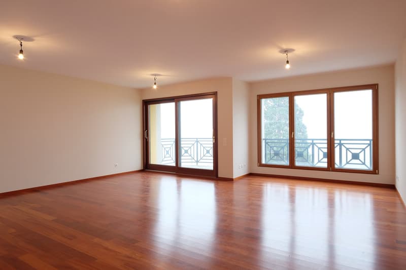 Appartement à louer de haut standing, promenade du lac de Lugano au 3ème étage (16)