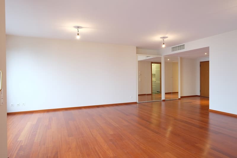 Appartement à louer de haut standing, promenade du lac de Lugano au 3ème étage (18)