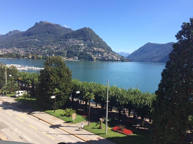 Appartement à louer de haut standing, promenade du lac de Lugano au 3ème étage (2)