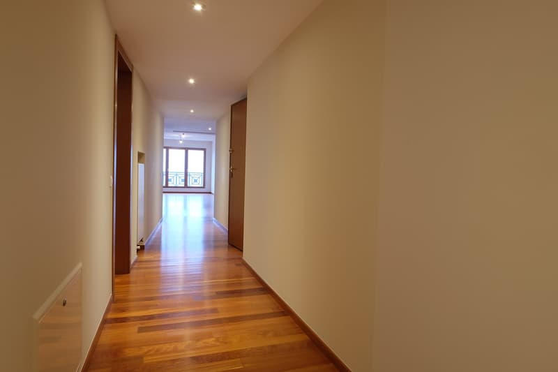 Appartement à louer de haut standing, promenade du lac de Lugano au 3ème étage (4)