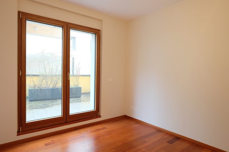 Appartement à louer de haut standing, promenade du lac de Lugano au 3ème étage (9)