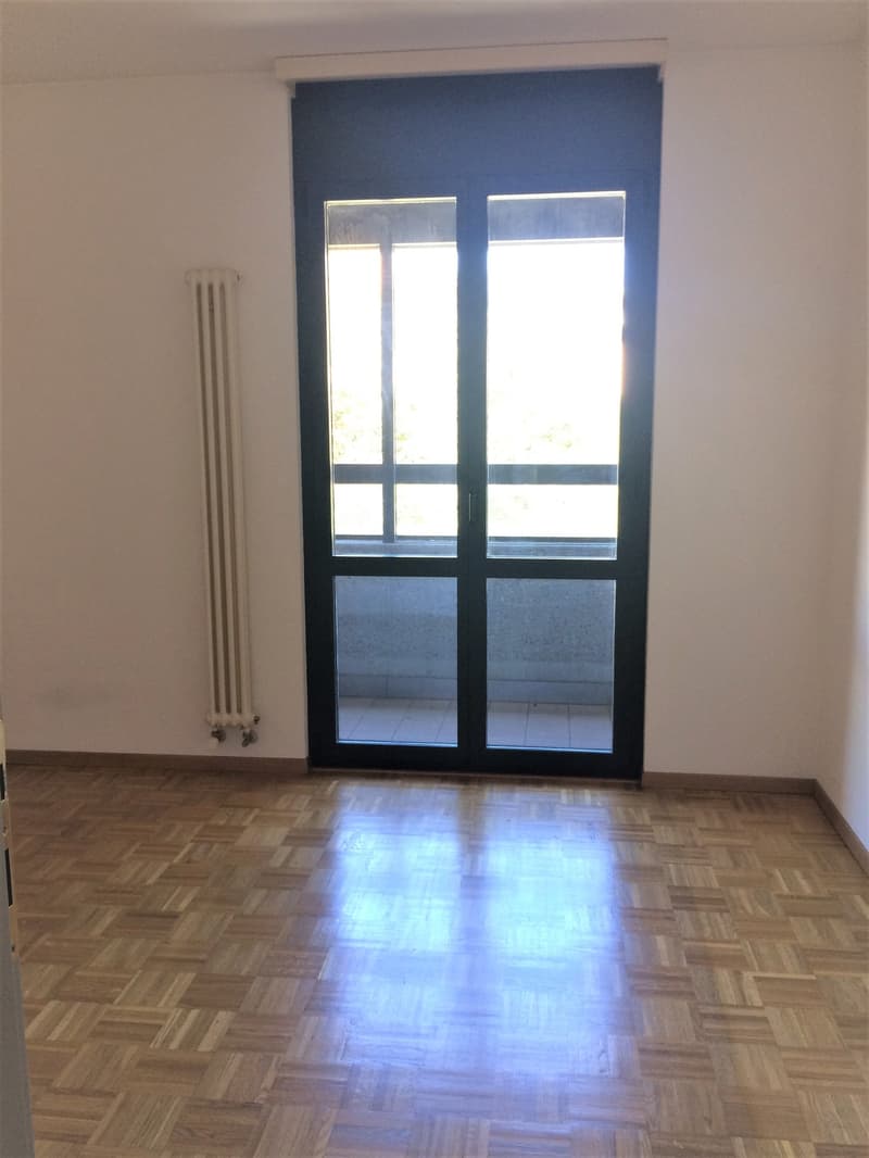 Empty room with hardwood floor, white walls, and large windows with black frames
