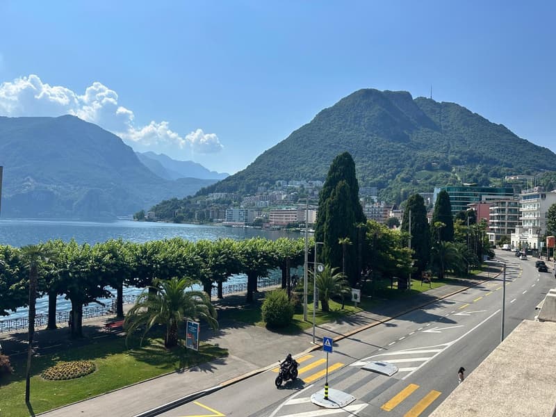 Affittasi appartamento di alto standing, lungolago Lugano al 3° Piano (2)