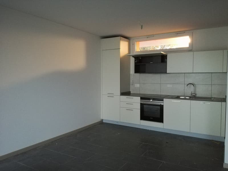 modern kitchen, white cabinetry, gray floor, stainless steel faucet, built-in oven, gas stove, wooden ceiling