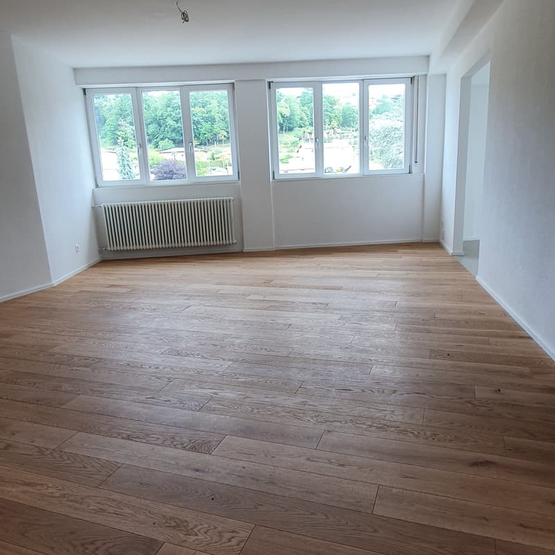 Beautiful completely renovated 3.5-room apartment (5)