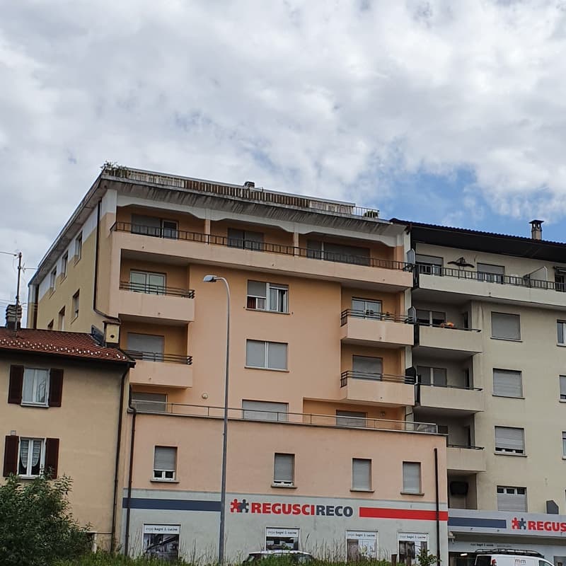 Beautiful completely renovated 3.5-room apartment (2)