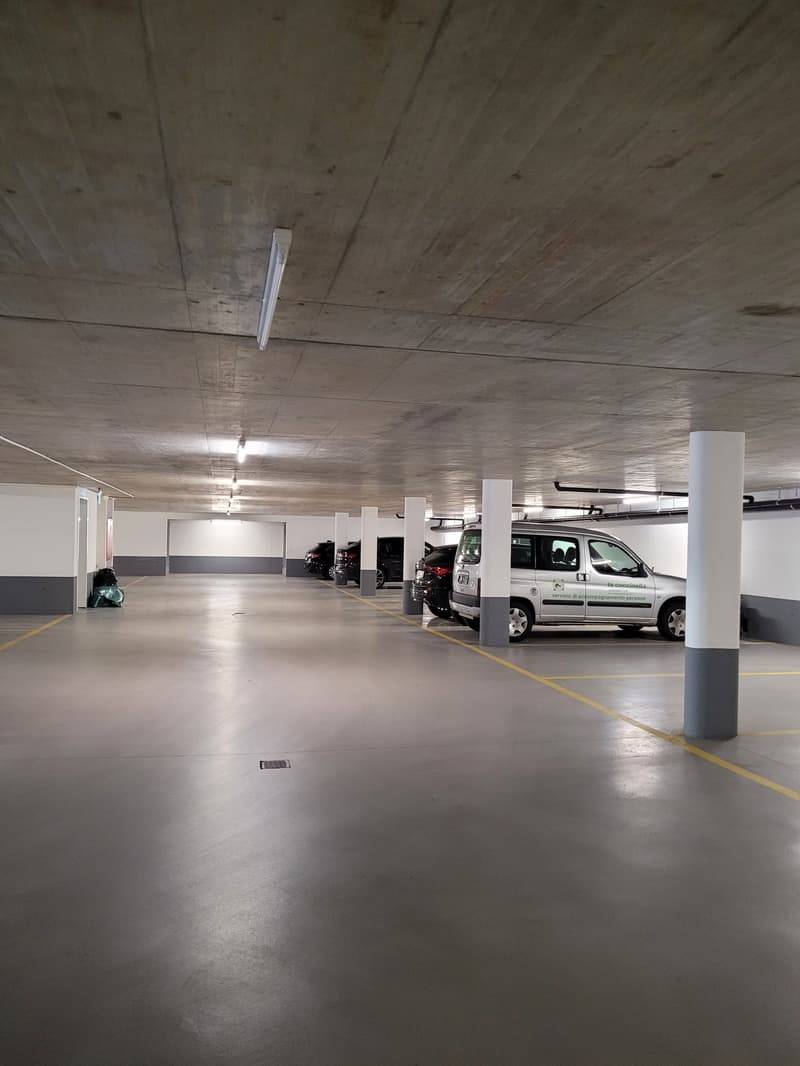 Beaux appartements ensoleillés (12)