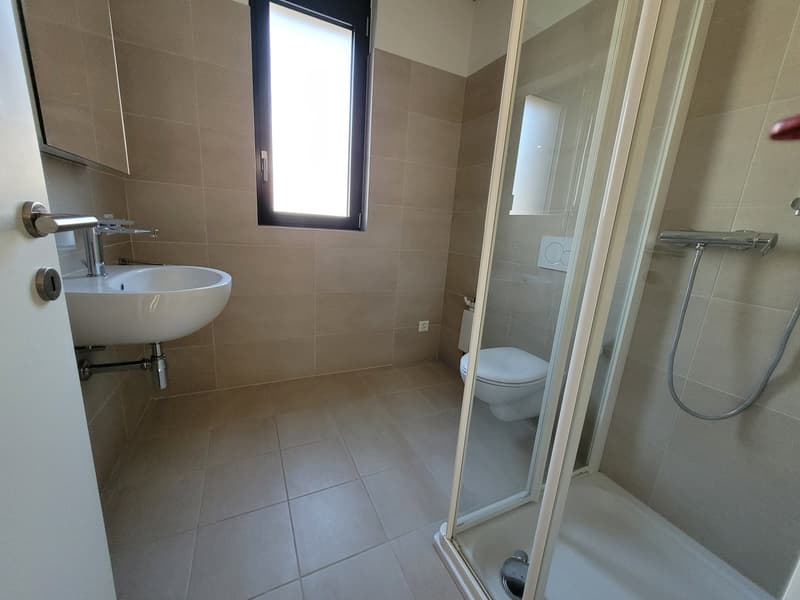 Beaux appartements ensoleillés (9)